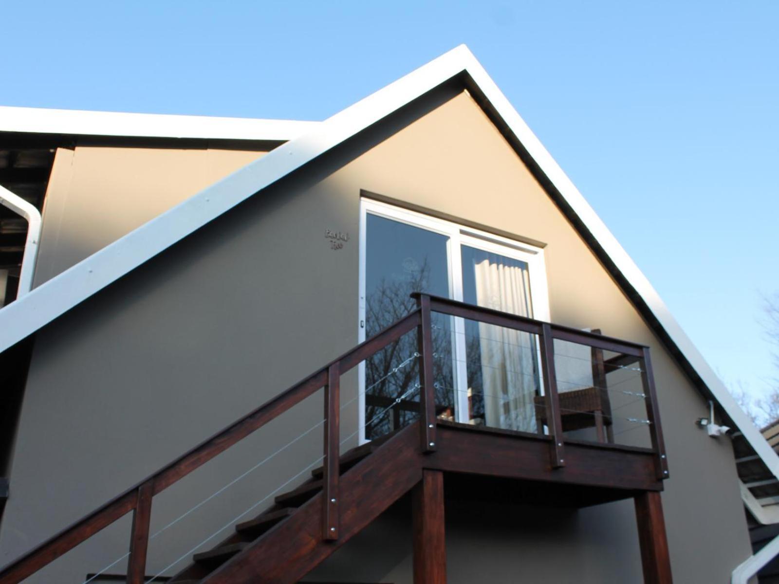 Wild Tree Lodge Benoni Rum bild