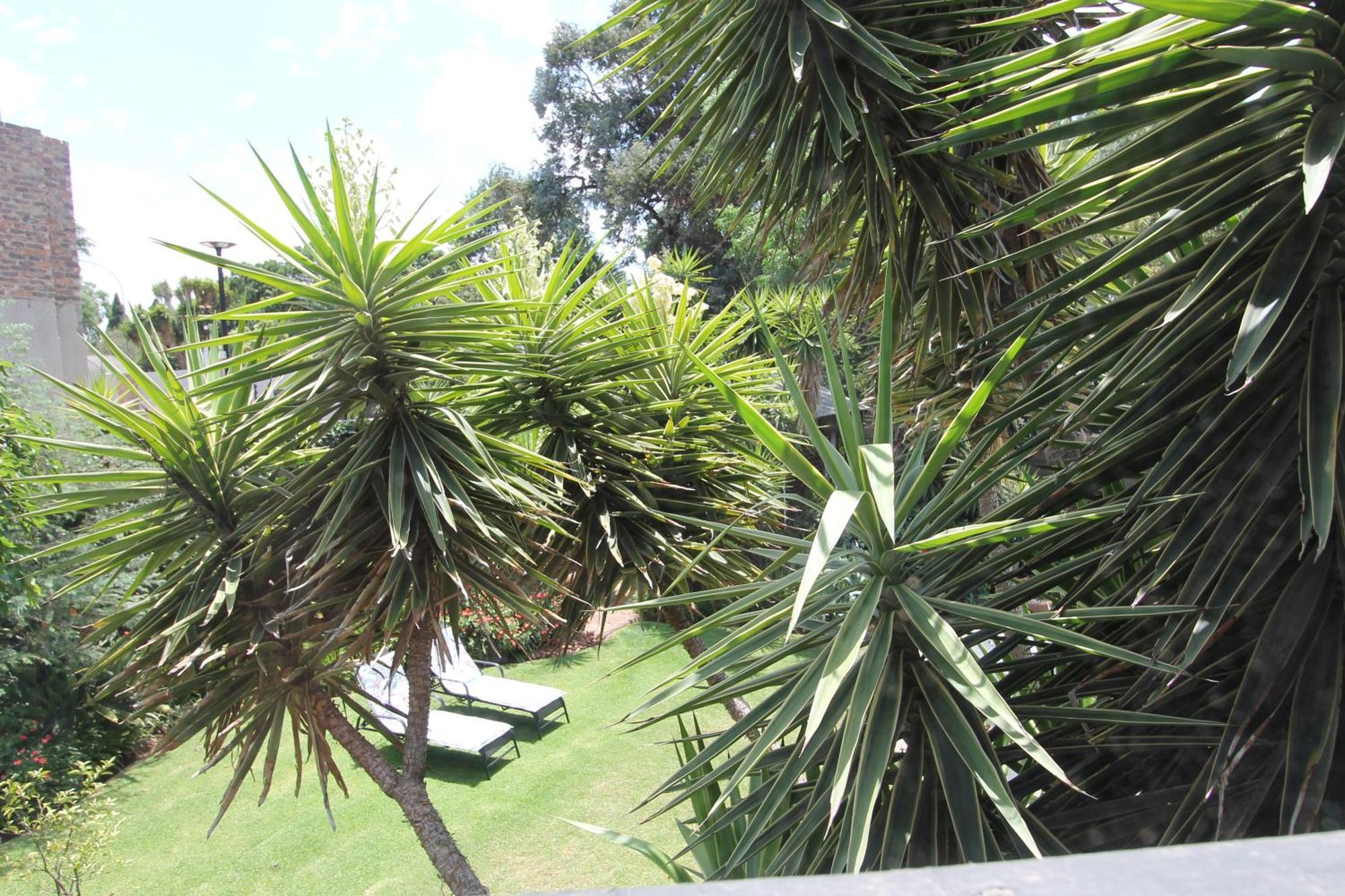 Wild Tree Lodge Benoni Exteriör bild